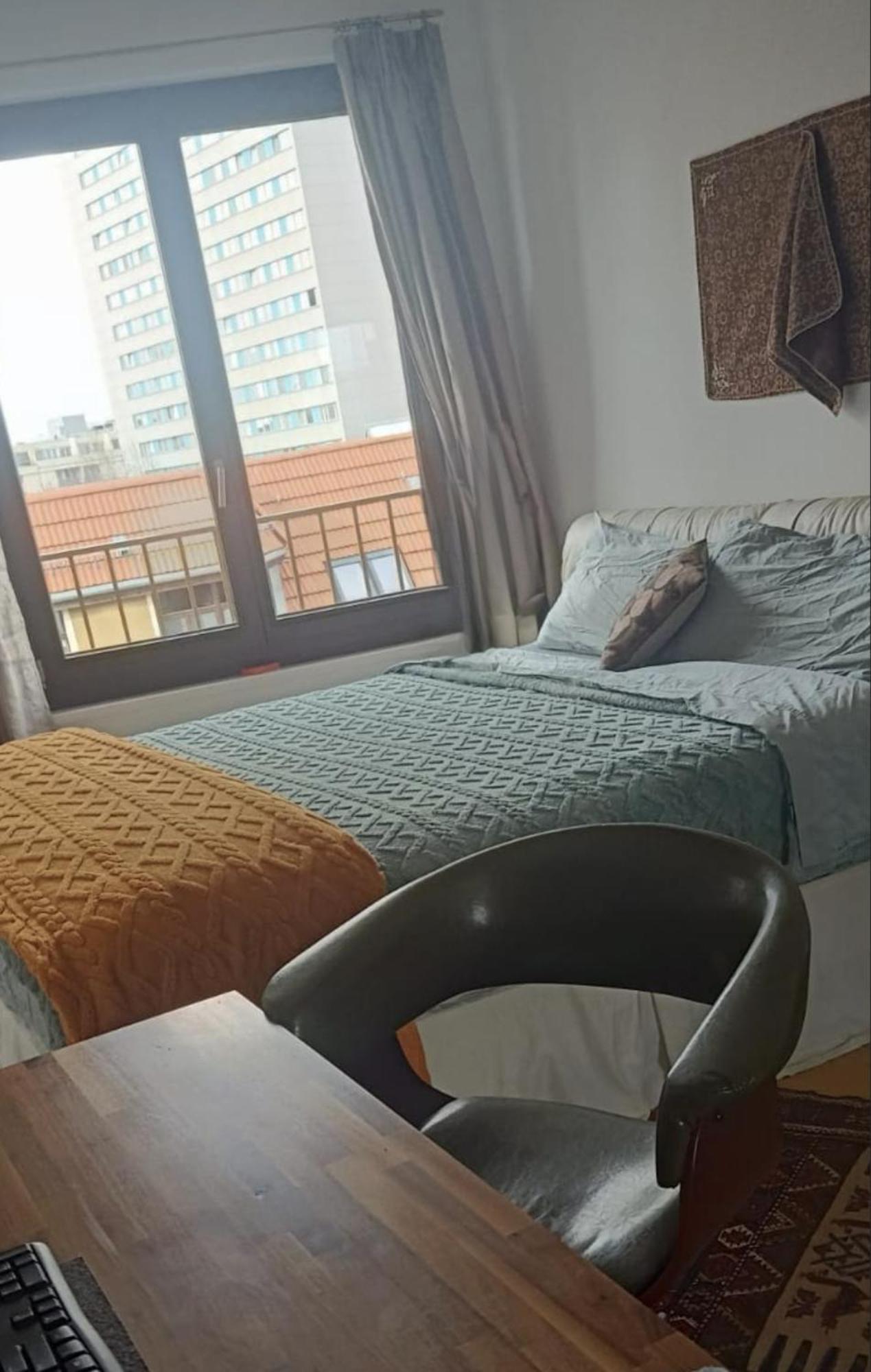 Either Private 2b2b Or Shared 1b1b, Luxury, Bright, Spacious Appartement